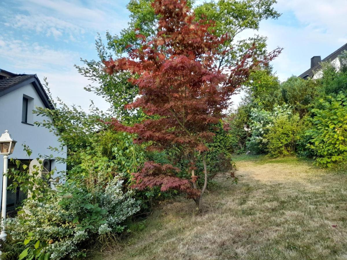 Haus Edda - Ferienwohnungen Mit Garten Und Schlossblick Marburg Екстер'єр фото